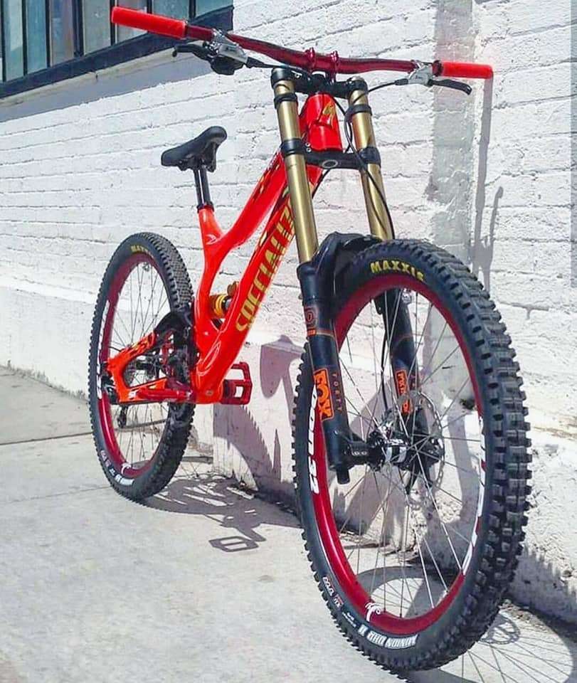 bike 10
